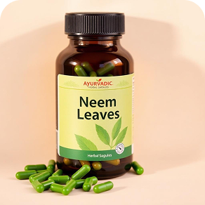 Neem Leaves